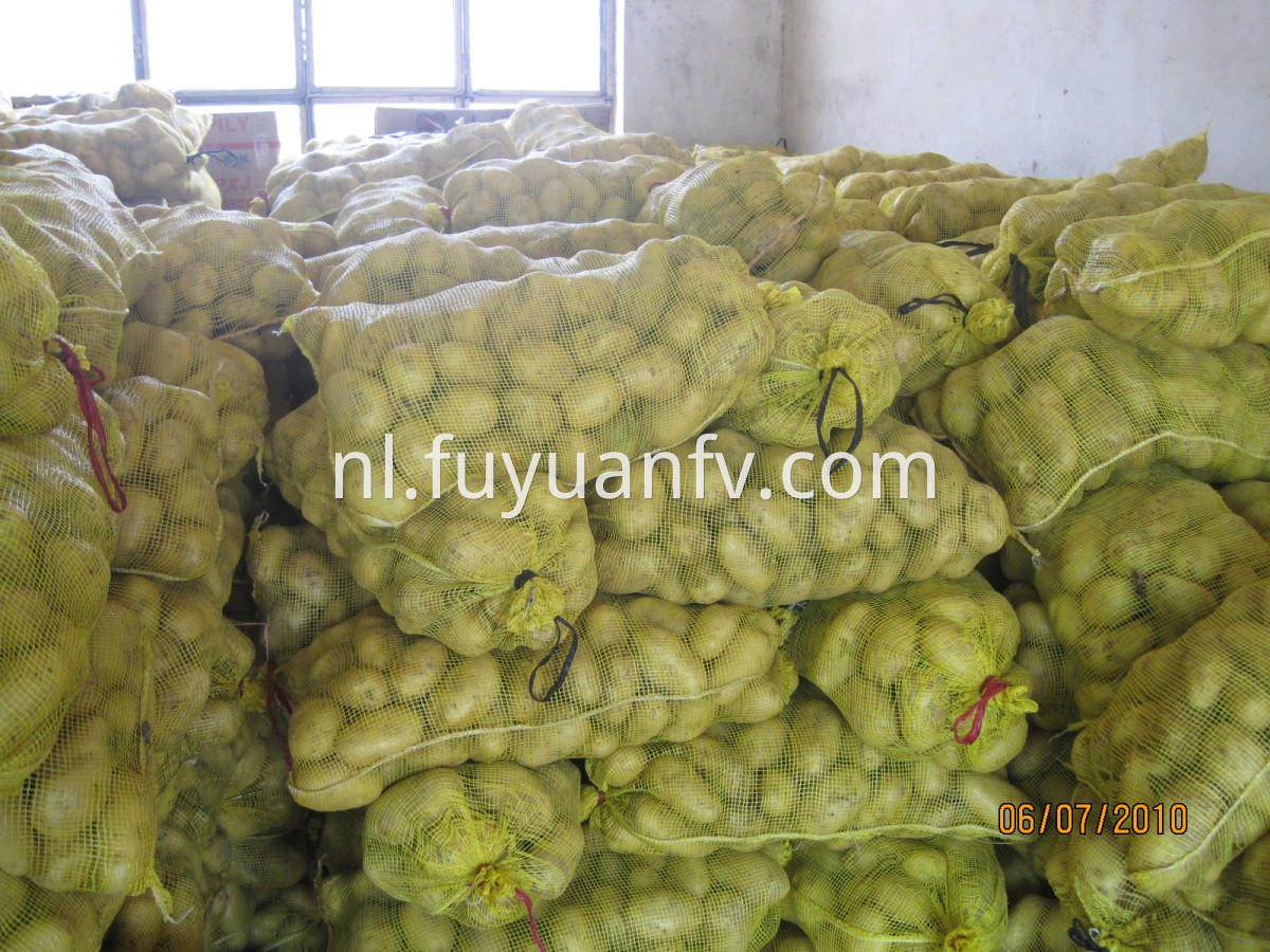 potato packed in mesh bag 